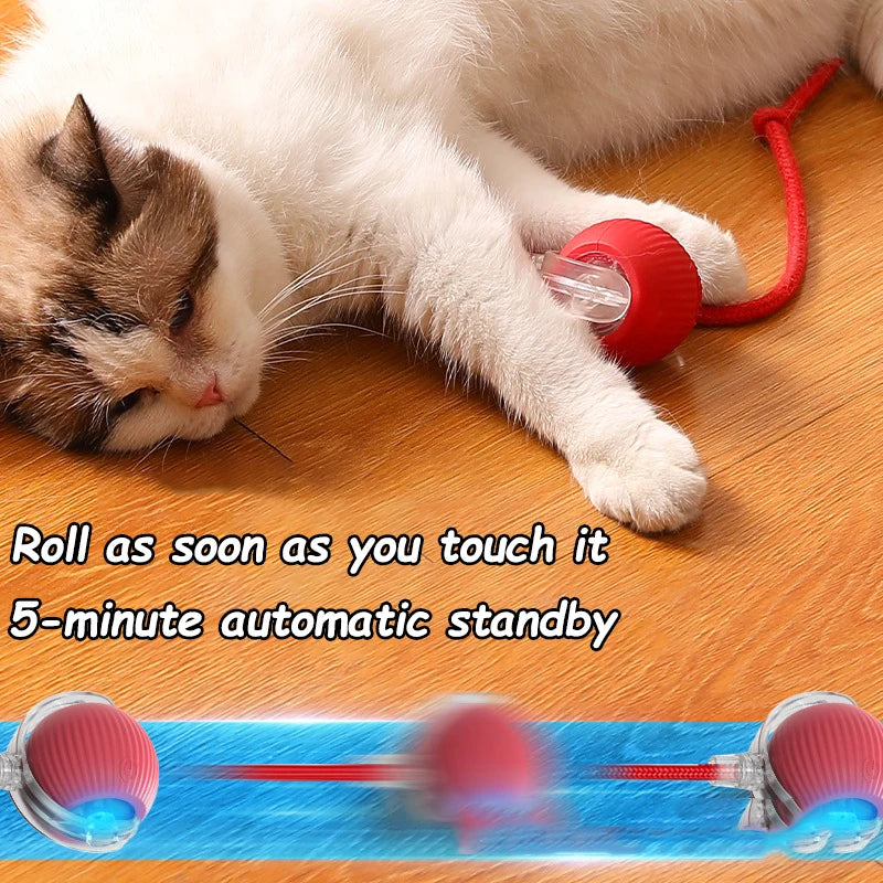 Interactive Cat Ball Toy – Smart Automatic Rolling Ball with Faux Tail, Rechargeable Electric Mouse Toy for Cats & Dogs 🐾✨