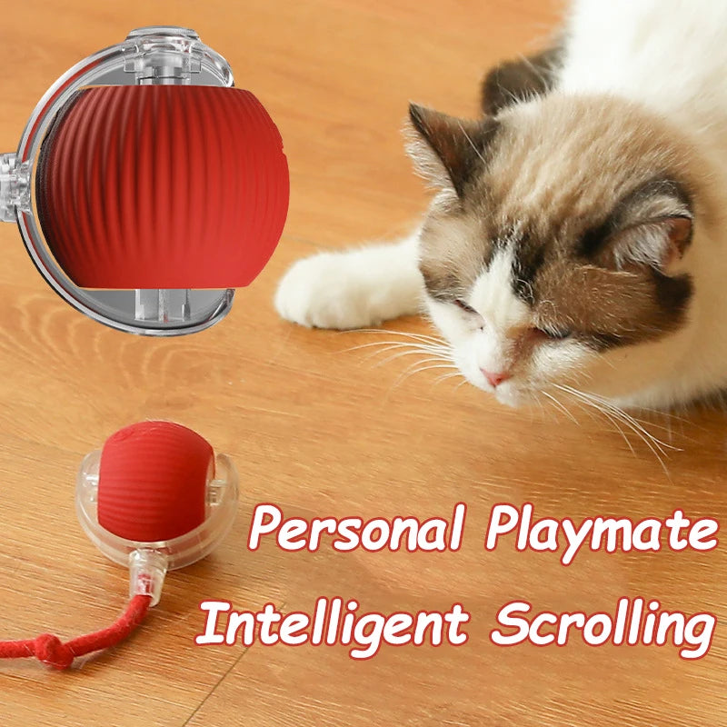 Interactive Cat Ball Toy – Smart Automatic Rolling Ball with Faux Tail, Rechargeable Electric Mouse Toy for Cats & Dogs 🐾✨