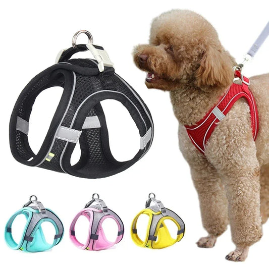 🐾🌞 Summer Mesh Harness Vest & Leash Set for Small Dogs - Adjustable Puppy & Cat Harness for Outdoor Walks 🐶🐱